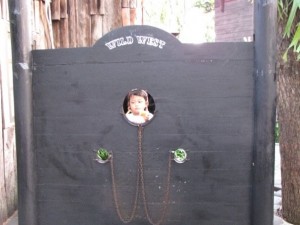 Wild West